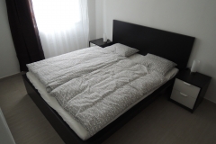 DSCN5041